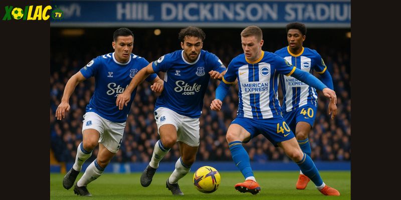 Trận Everton vs Brighton hứa hẹn nhiều cảm xúc tại Hill Dickinson Stadium.